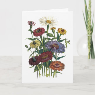 Kort för Zinniasvattenfärgsympati