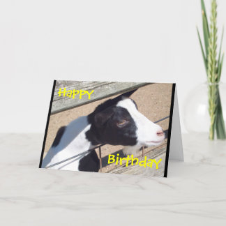 Kort "för Zooget" födelsedag