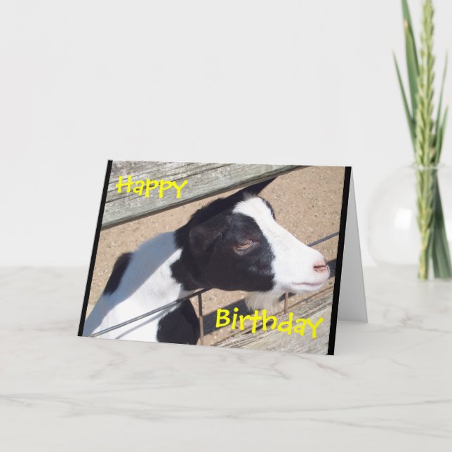 Kort "för Zooget" födelsedag (Framsida)