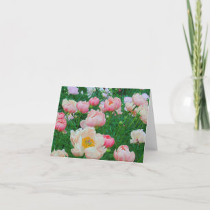 Kort, ’GARDEN OF PASTEL PEONIES’ Kort