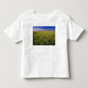 Kort gräspräirie i avlägsna nordöstra t-shirt