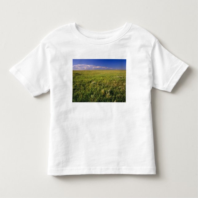 Kort Grass Prairie i nordöstra delen av området T-shirt (Framsida)