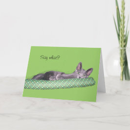 Kort - Grattis - Grå kattunge