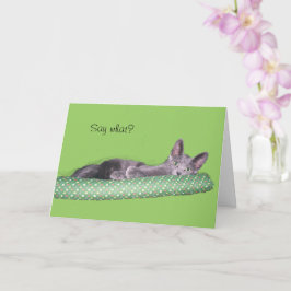 Kort - Grattis - Grå kattunge