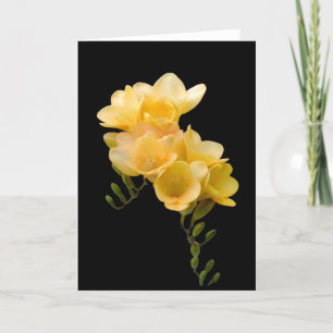 Kort gul Freesia nr. 1