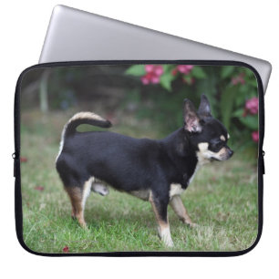 Kort Haired Chihuahuaanseende Laptop Sleeve