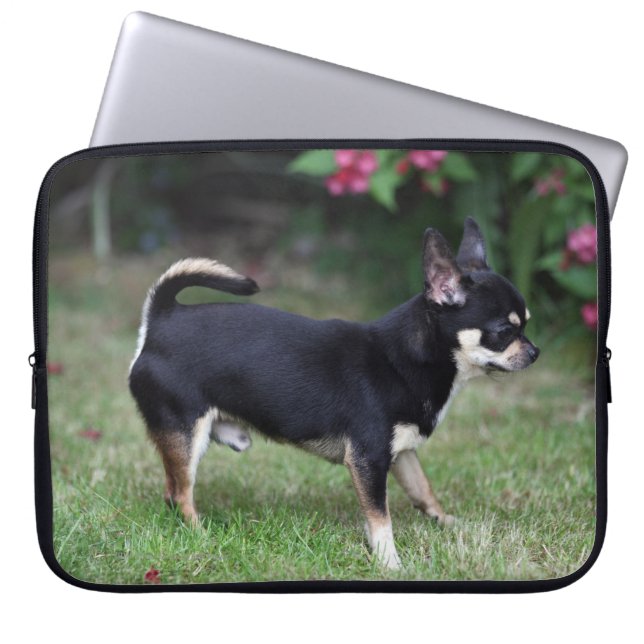 Kort Haired Chihuahuaanseende Laptop Sleeve (Framsidan)