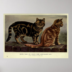Kort-Haired tabby katt Målning (1902) för vintag Poster