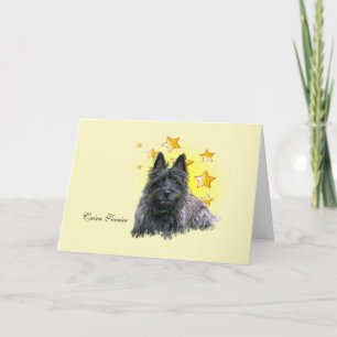 Kort Hairn Terrier är en stjärna