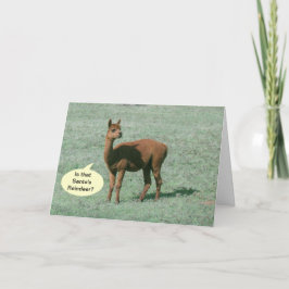 Kort - Hälsning - Alpaca Hälsning
