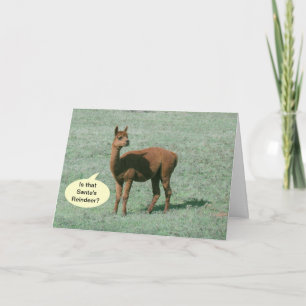 Kort - Hälsning - Alpaca Hälsning