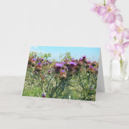 Kort - hälsning - Beauty in Thorny-situation