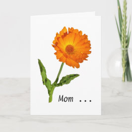 Kort - Hälsning - Calendula-tack