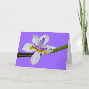 Kort - Hälsning - Iris
