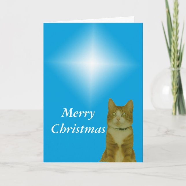 Kort - Hälsning - julstjärna (Framsida)