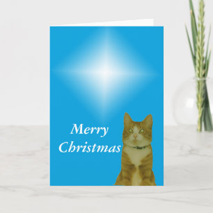 Kort - Hälsning - julstjärna