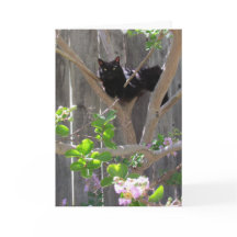 Kort, Hälsning - Katt i Grenar