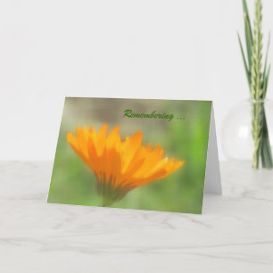 Kort - hälsning - Orange Calendula