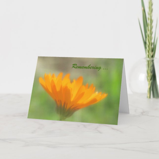 Kort - hälsning - Orange Calendula (Framsida)