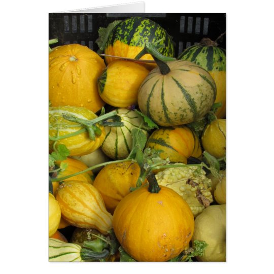 Kort - hälsning - sommarsquash
