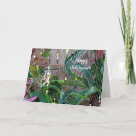 Kort - Hälsning - Spider på webben