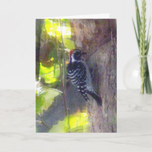 Kort - Hälsning - Woodpecker