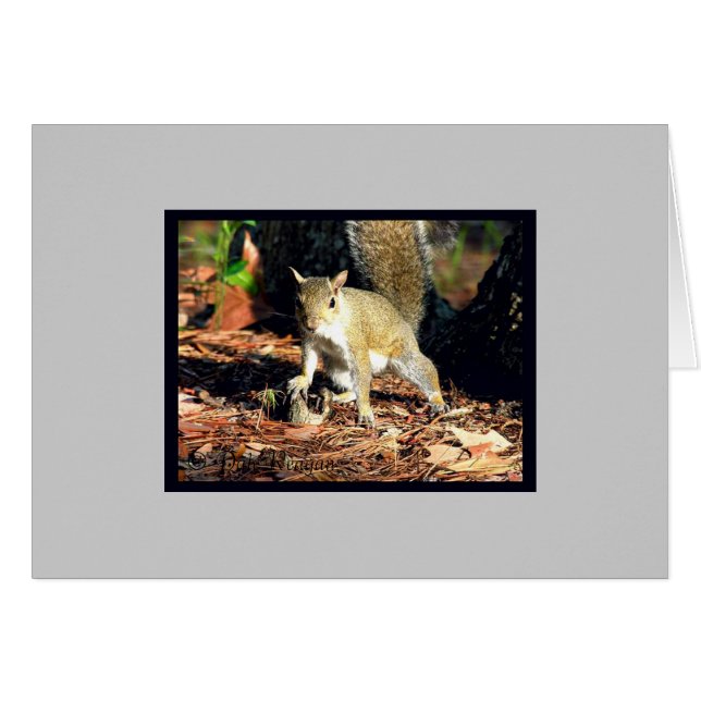 Kort - Har Nöt? (Framsidan Horizontal)