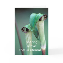 Kort/Jack i pappersmassan