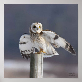 Kort-Jordad Uggla 2 Poster