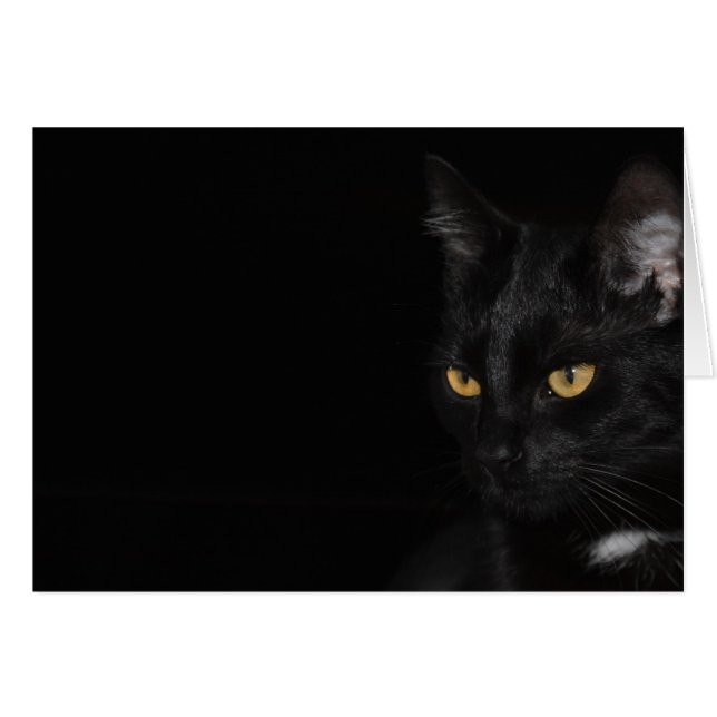 Kort - Katt - Inköp (Framsidan Horizontal)