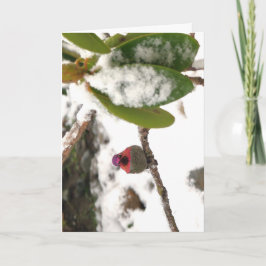Kort. Kolibri i snö Kort