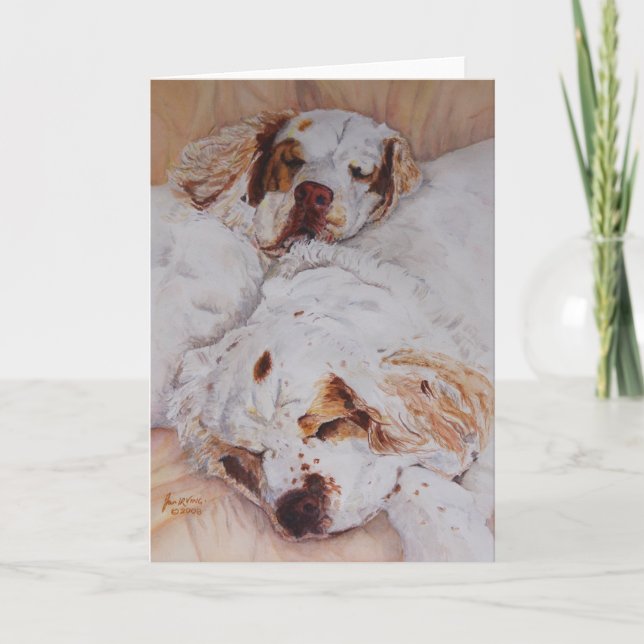 kort - komfort - två Clumber Spaniels (Framsida)