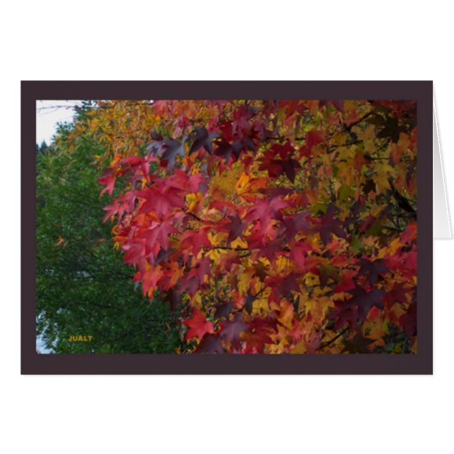 Kort liggande 16 (Framsidan Horizontal)