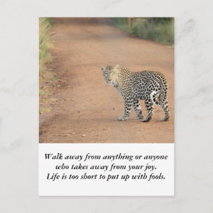 Kort: Livet är för kort