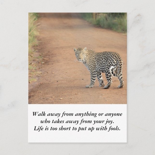 Kort: Livet är för kort (Framsida)