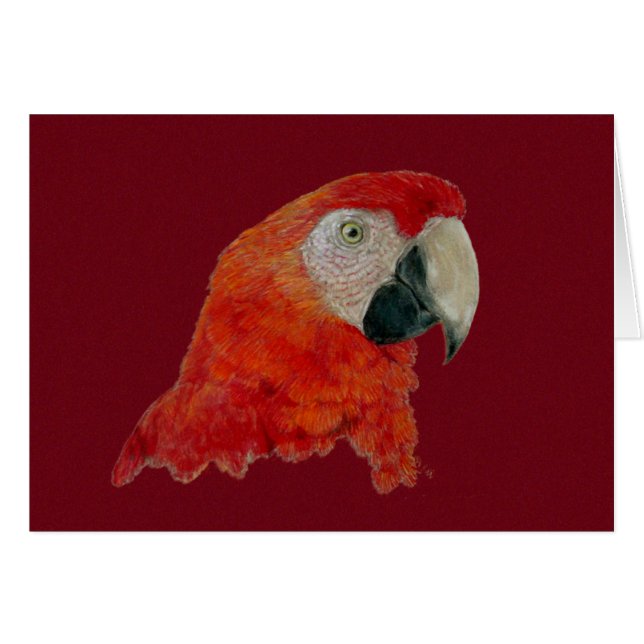 Kort - Macaw (Framsidan Horizontal)