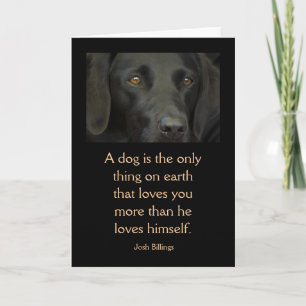 Kort med citationstecken - svart Labrador hund