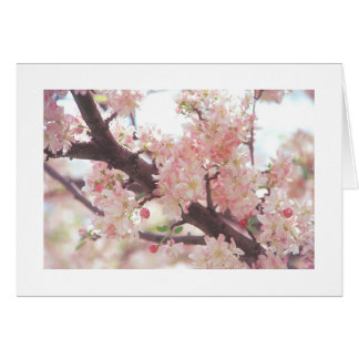 kort med foto av blommande träd gren