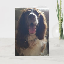 Kort med kärlekshälsning