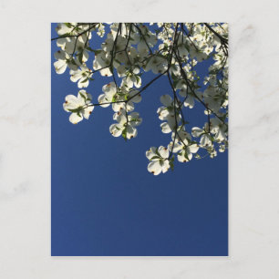 Kort med Kornellblommor