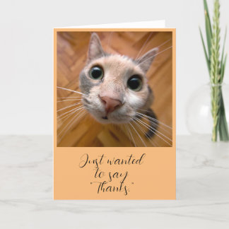 Kort med röd katt tack