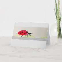 Kort med vattenfärg på Giant Ladybug!