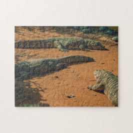 Kort NExisterade krokodiler Sunbad Near Turtles Pussel