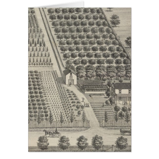 Kort Nursery, Woodland (Framsidan)