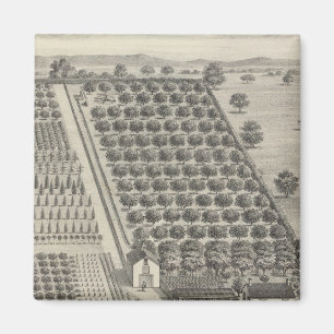 Kort Nursery, Woodland Magnet