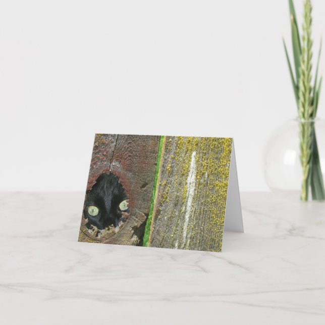 Kort - Obs! Svart kattsökning (Framsida)