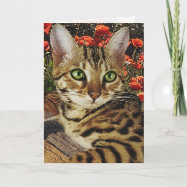 Kort och klistermärken (Framsida)