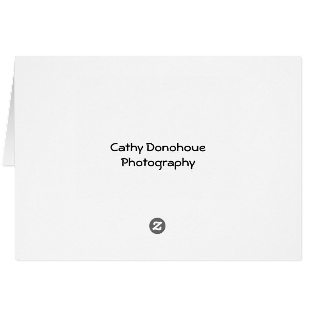 Kort och klump (Baksidan Horizontal)