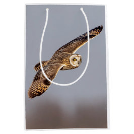 Kort-örad uggla vid Shawangunk Grasslands