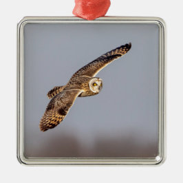 Kort-örad uggla vid Shawangunk Grasslands Julgransprydnad Metall